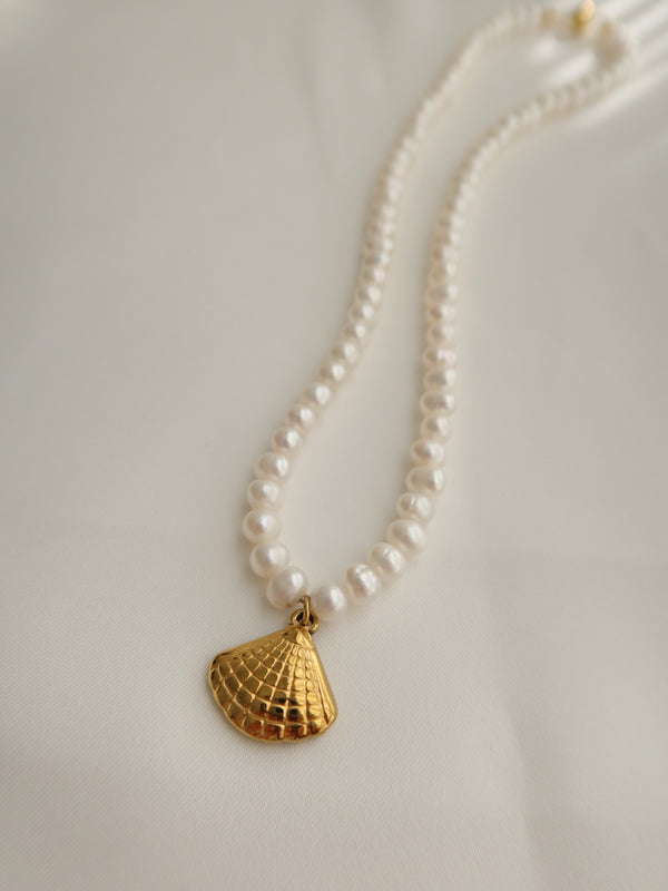 Shell Necklace