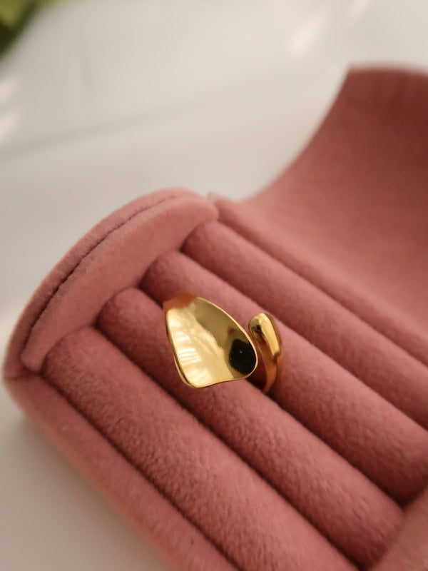 Dani Ring